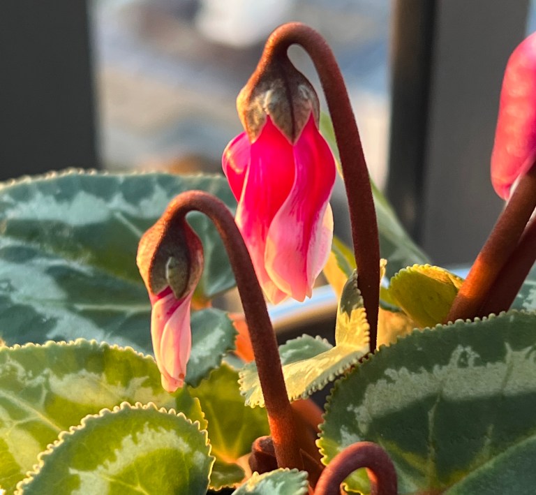 POETIC PHILOSOPHICAL GHOSTWRITING